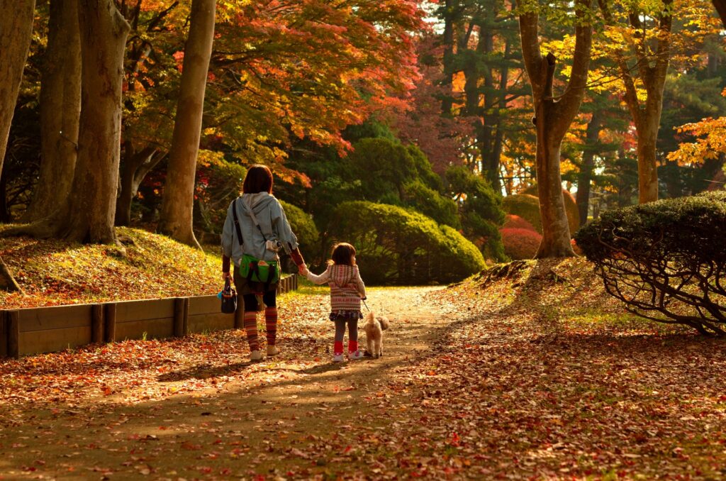 紅葉の公園